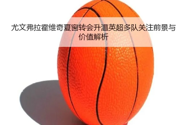 尤文弗拉霍维奇夏窗转会升温英超多队关注前景与价值解析