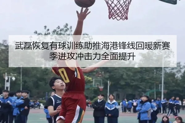 武磊恢复有球训练助推海港锋线回暖新赛季进攻冲击力全面提升